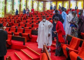 Senate Issues Ultimatum to Minister of Communications