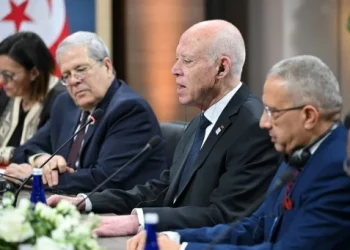 Tunisian President Fires Foreign Minister