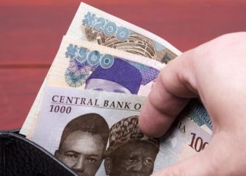 CBN Okays Use of Old naira Notes