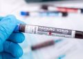 Equatorial Guinea Records New Cases of Marburg Virus