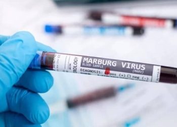 Equatorial Guinea Records New Cases of Marburg Virus