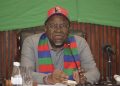 Namibian President Names Presidential Candidate