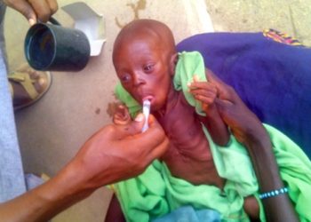 UNICEF Raises Alarm Over Maternal Under Nutrition.