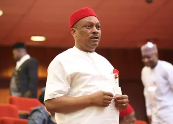Anyanwu Describes Primaries Victory as Divine