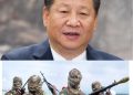 Chinese Government Denies Funding Militants in Nigeria