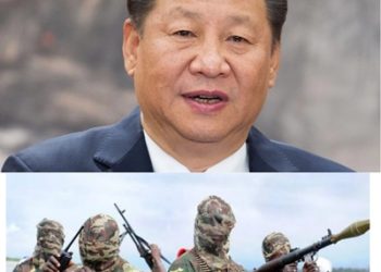Chinese Government Denies Funding Militants in Nigeria