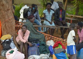 Kenya to Evacuate Citizens in Sudan